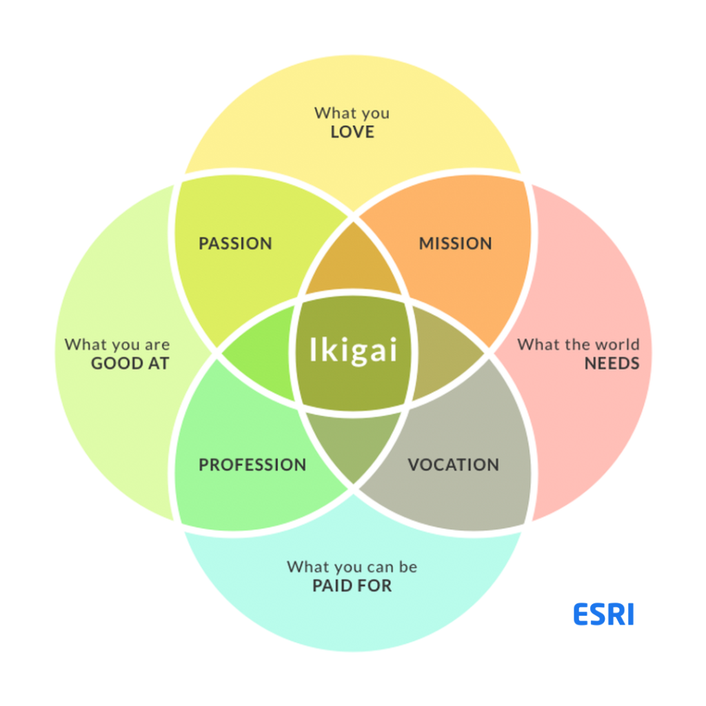 Ikigai - Guia Completo de uso