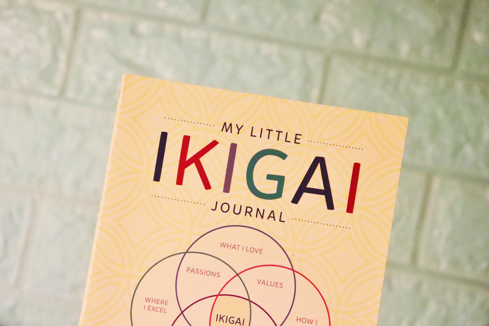 Conhecimento Ikigai: Guia Completo de uso 2024