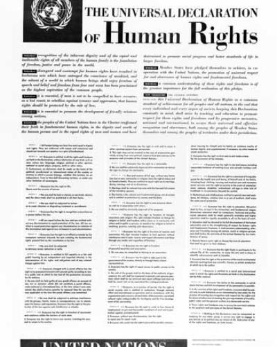 Resumo de Direitos Humanos - DUDH