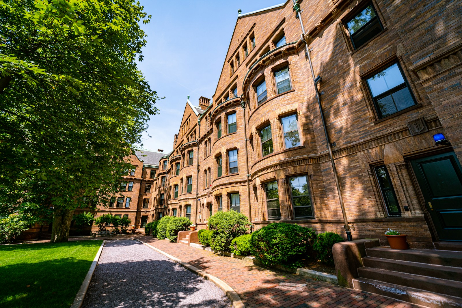 Cursos Gratuitos da Universidade de Harvard: Impulsione sua Carreira em Relações Internacionais