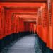 architecture, japan, kyoto, path, shinto, temple, red, hallway, arches, japan, japan, japan, japan, japan, kyoto